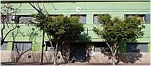 Jardín de Infantes Nucleado C DE 8 (De la Escuela Nº 24 DE 8) | Elegir Colegio